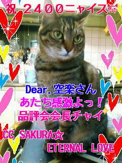 CC_SAKURAさん2400nice!.jpg
